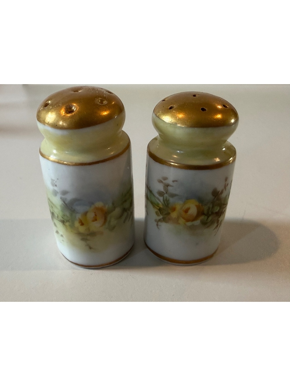 Vintage Hand Painted Porcelain Salt & Pepper Shakers Roses Gold W. Maussner